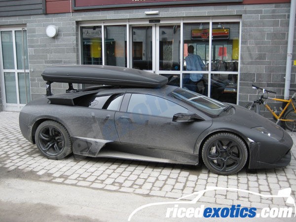 murcielago_005