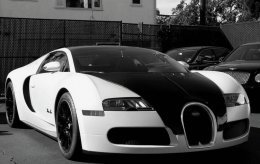 bugatti-veyron-blanc-noir-edition-xxxxxxx