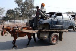 Cheval et Maruti