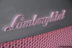 lambo rose