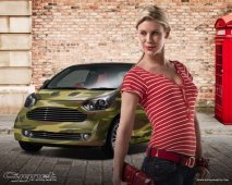 aston_martin_cygnet_personalization_1