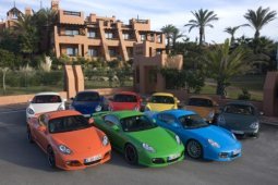 porsches multicolores