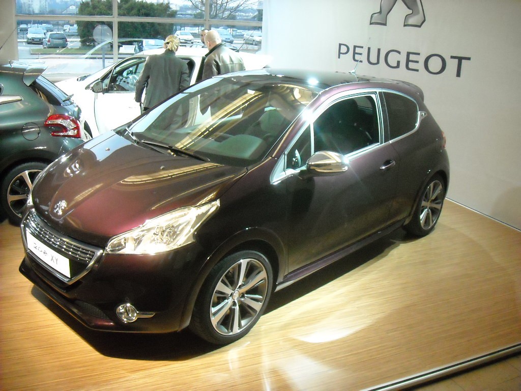 Peugeot 208 300 000 ex Poissy (26)