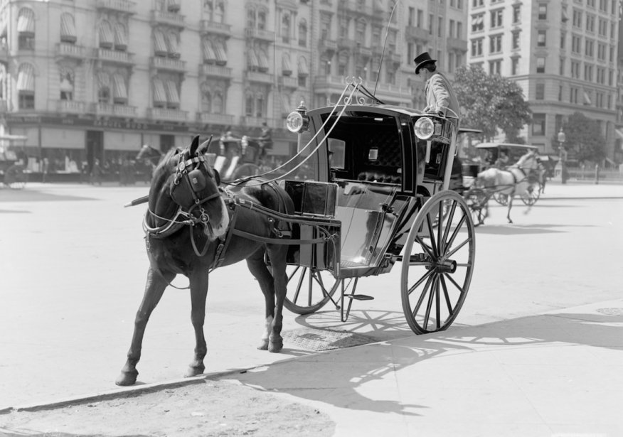 659985-caleche-cocher-bordure-madison-square