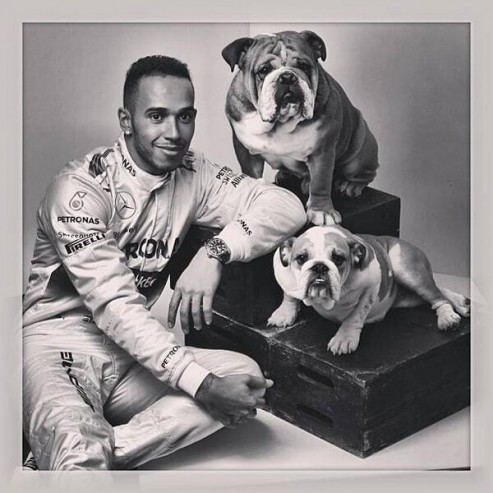 Hamilton-2014