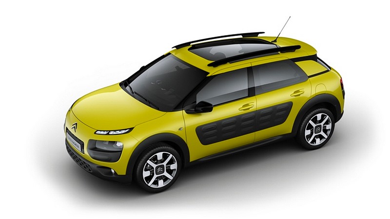 C4 Cactus