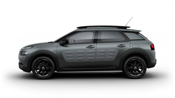 C4 Cactus.2