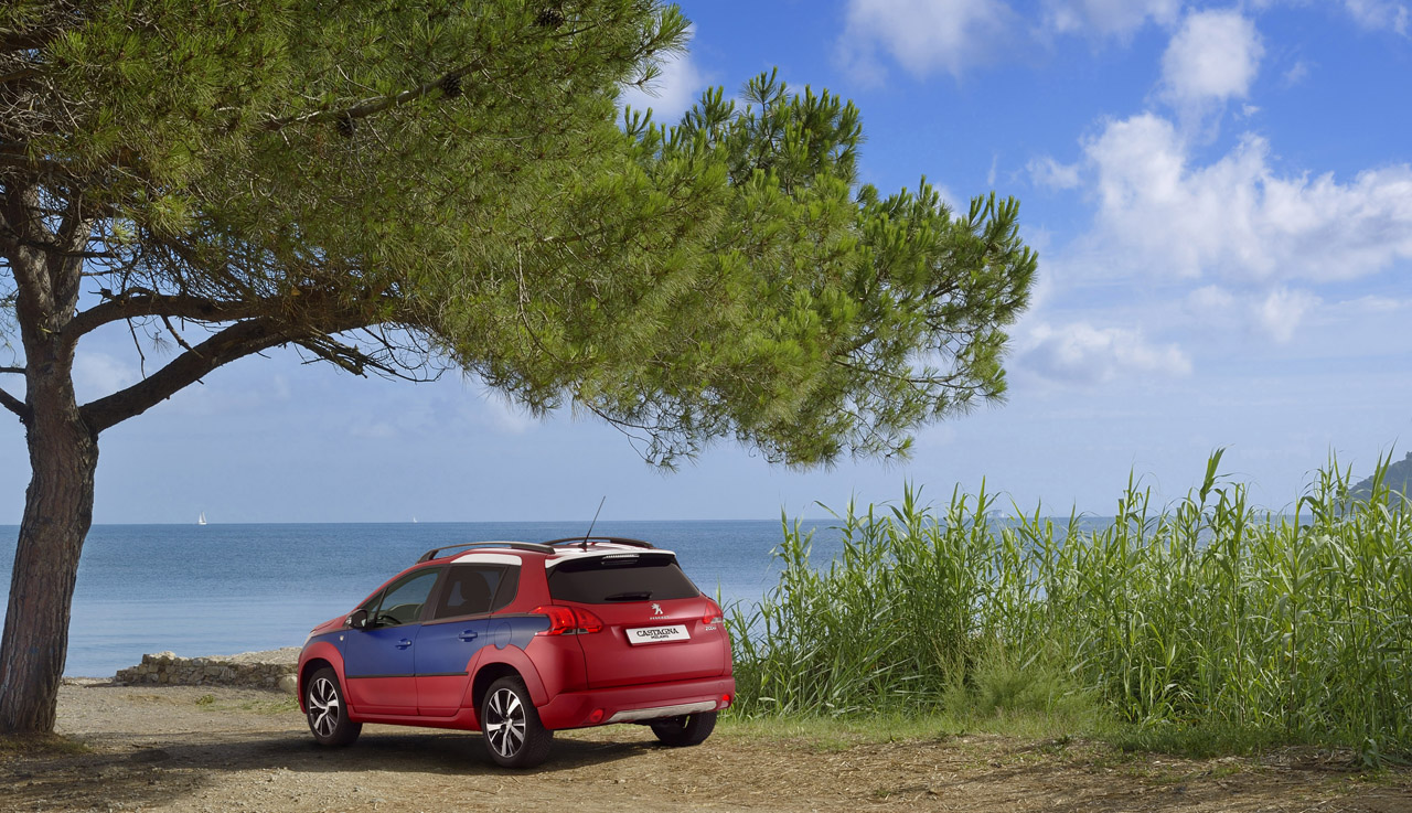 Peugeot 2008 Castagna Milano