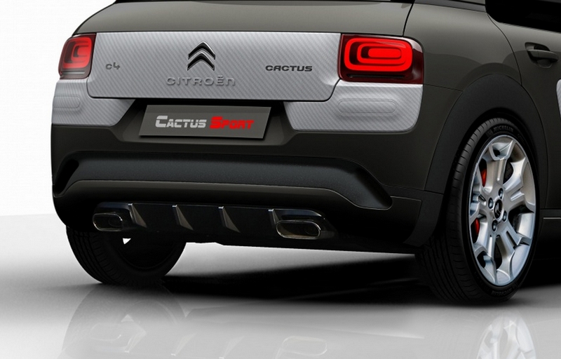 Citroen Cactus Attacks