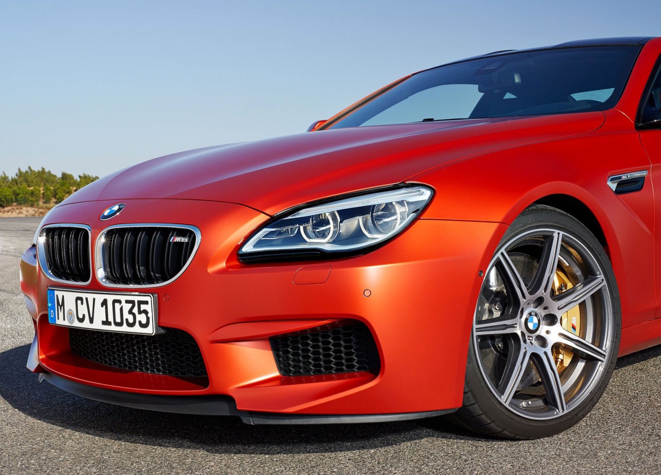 2015_BMW-M6-Coupe_13